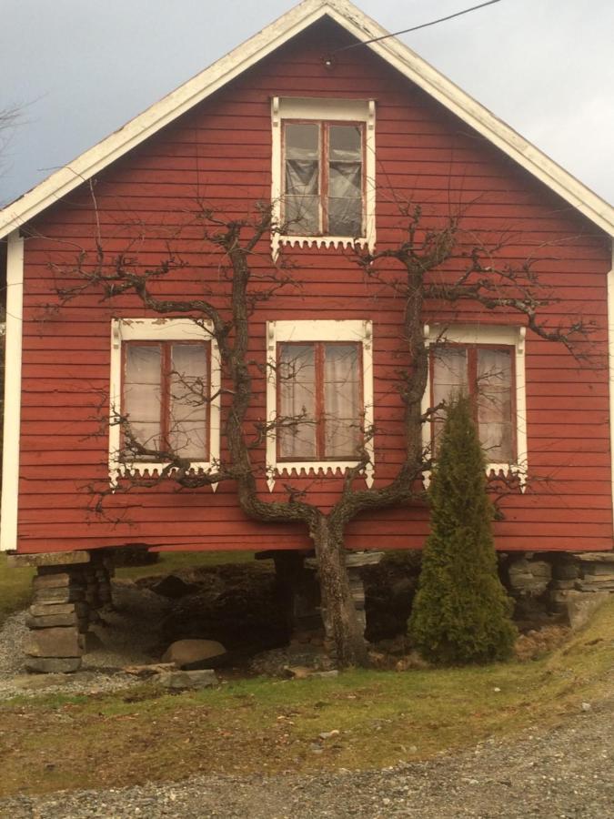 Line Pa Hauane1 Bed & Breakfast Volda Luaran gambar